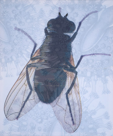 Fliege, 2009, 120 x 100 cm, Druck und Stickerei auf Gewebe