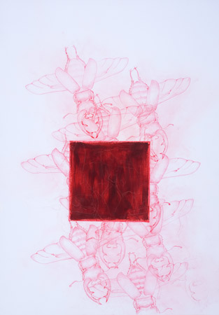 Rote Hirschkäfer 2, 2008, 70 x 100 cm, Mischtechnik